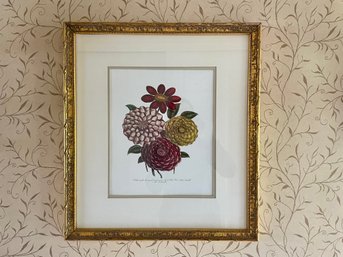 Attractive Dahlia Botanical Print, Custom Framed & Matted