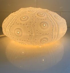 Sea Urchin Bone China Ambient Table Light