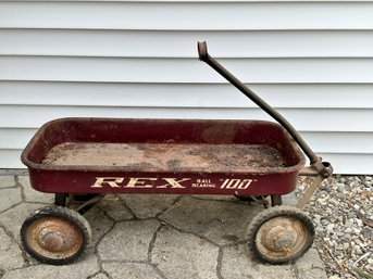 Rex Metal Childrens Wagon