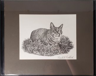 Pen Drawing Of A Cat By Frank Pachlick