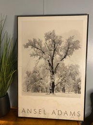 Authentic Stamped Ansel Adams Oak Tree Poster 36x24