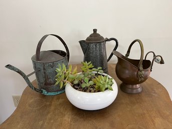 Live Jade Plant Vintage Tin Coffee Pot & Pitcher