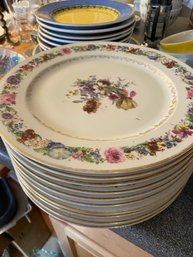 Lovely Set Of  Ten Vintage Rosenthal (Germany) Floral Design Plates - Good Condition