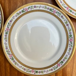 Set Of 9 Vintage Limoge Desert Plates