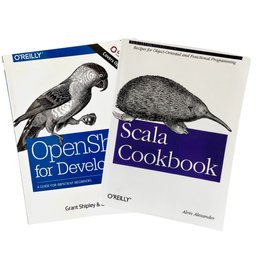 Lot 1 Of Two Books For Computer Technology