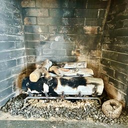 A Gas Fire Place Insert With Log Holder And Faux Logs - Primary