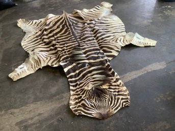 African Zebra Hide