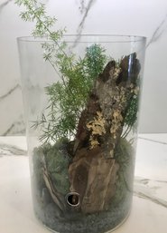 Tall Cylinder Mature Terrarium From TERRAIN Westport