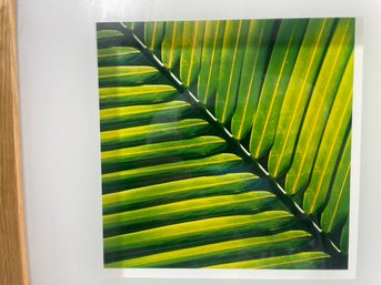 Tropical Theme Shadow Box Recessed Wall Print