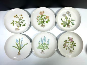 Horchow Style Botanical Flower Salad Plates