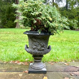 A Resin Urn Planter