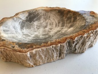 Petrified Wood Candy Bowl, 4 LB 12 Oz , 9 Inch By 6 1/2 Inch