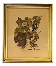 Framed John J. Audubon Engraving, 'Baltimore Oriole'