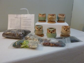 Owl Mini Planters Set Of 6