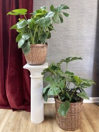 Resin Column Plant Stand