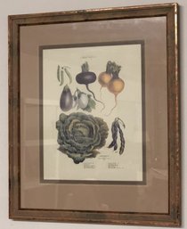 Framed Botanical Art Print