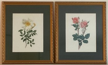 PR. Framed Floral Prints In Gold Washed Frames