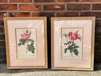 Two Floral Framed Prints