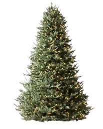 Just In Time - A 6.5 Foot  Balsam Hill Lit Christmas Tree