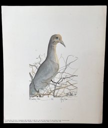 P. Buckley Moss Signed And Numbered 'Grey Dove' Print