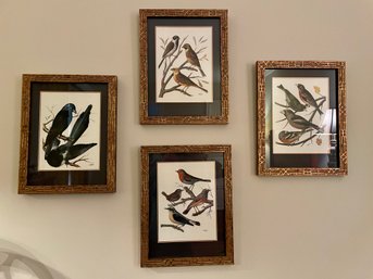 Four Nicely Framed Bird Prints In The Style Of Audubon