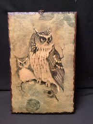 1970s Richard Hinger Screech Owl Print On Rustic Wood