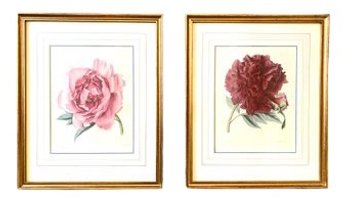 Pair Sweet Framed Botanical Prints  (LOC: S1)