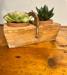 Antique Box With Faux Potted Succulents  -2/2