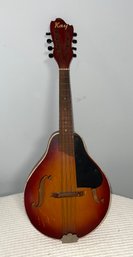 Vintage Kay Mandolin In Carry Case