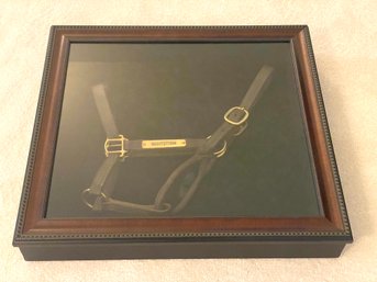 Equestrian Bridle In Shadowbox Frame Belonging To Thoroughbred Race Horse / Nightstorm