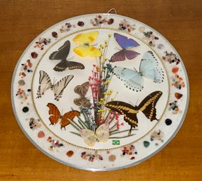 Vintage Butterfly Taxidermy Wall Art Made In Brazil