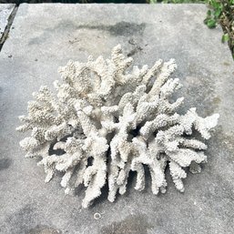 A Large Decorative Coral Specimen - 12 X 10 X 7