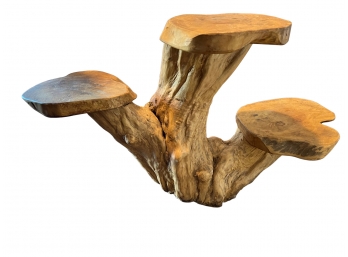 Large Heavy Cedar Tree Stump/root/ Plant Stand