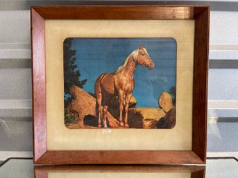 Fabulous Vintage Photograph Of Horse 'Golden Champion' By Famed Theda & Emerson Hall