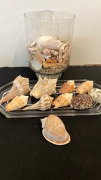 A Nice Collection  Of Cameo Carved & Seashells With Glass Tray And Vase