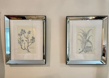 Trowbridge Mirrored Framed Aquatic Prints