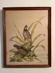 Lithograph Of Two Birds By Bob White