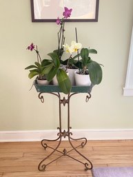 Sweet & Charming Antique Plant Stand