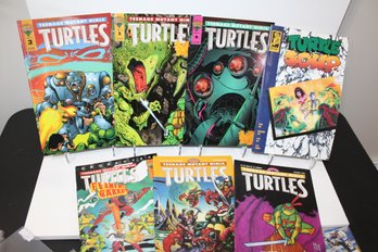 1991-1994 Teenage Mutant Ninja Turtles From Mirage (7)