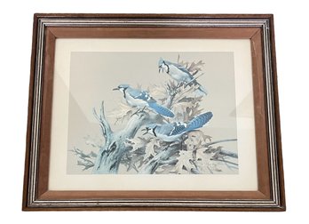 Framed Bluejays On A Branch Print