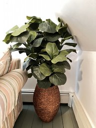 Faux Ficus Plant In Woven Basket