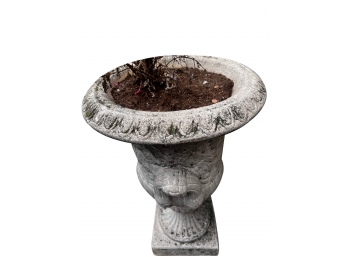 Cement Planter With Cement Base