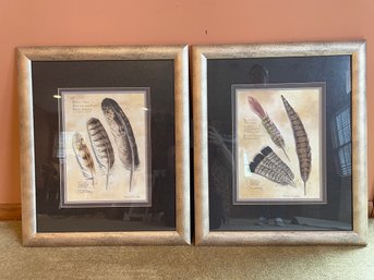 Custom Framed & Triple Matted Feather Prints By Daniel Van Zyle (American, B. 1942)