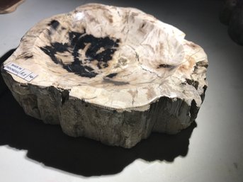 Petrified Wood Bowl, 5 LB , 8 Inch By 7 Inch