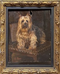 Antique Yorkshire Terrier Painting On Canvas