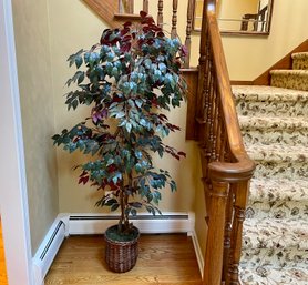 Large 6' Artificial Ficus Tree With Reddish Underside Leaves