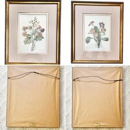 A Pair Of Lovely Botanical Prints