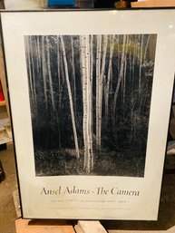 Vintage 1981 Ansel Adams Aspens The Camera Framed Art Print Poster