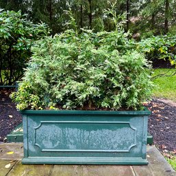 A Resin Planter Box