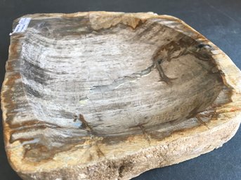 Petrified Wood Bowl, 7 LB 10 Oz, 7 Inch By 7 Inch